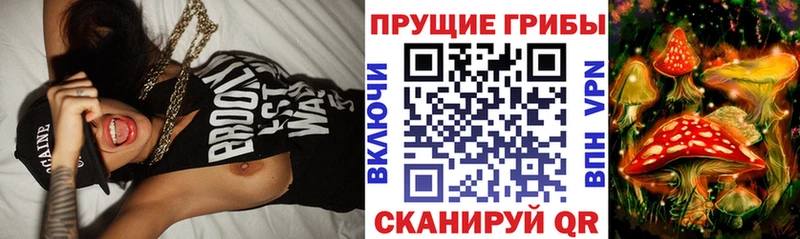 Галлюциногенные грибы Magic Shrooms ссылка на мегу ссылка мориарти клад Кузнецк